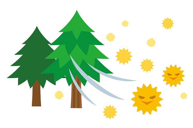 アレルギー疾患についてのイメージ写真